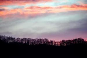 zonsondergang Aan voorjaar tijd Aan Woud achtergrond foto