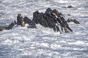 kust- zee storm storm groot Golf Leuk vinden vloeistof sneeuw foto