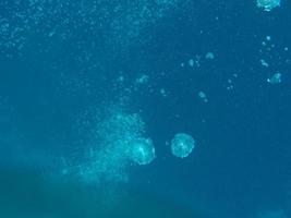 duiker bubbels in een grot onderwater- foto