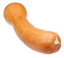 rijp butternut pompoen geïsoleerd Aan wit foto