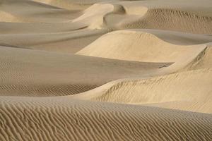 woestijn zand duinen Bij zonsondergang foto