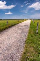 steenachtig pad in Woud foto