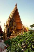 reizen op wat tham sua in thailand