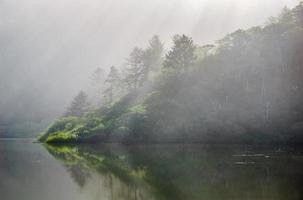 Redwood National Park foto