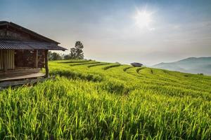 terrasvormige rijstveld
