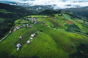 hoog hoek visie groen rijst- veld- Aan terrasvormig in Chiang Mai foto