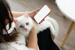 lief wit kat beeld met twee kleur ogen Bij huis foto