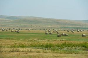 zomer landschapsmening foto