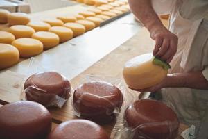 kaas maker Bij lokaal productie fabriek foto