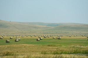 zomer landschapsmening foto