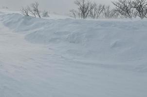 winter landschap visie foto