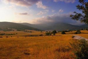 zomer landschapsmening foto