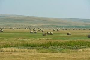 zomer landschapsmening foto