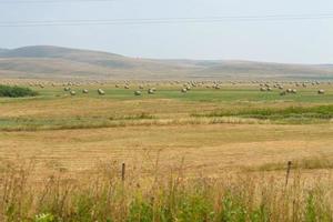 zomer landschapsmening foto