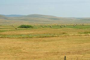 zomer landschapsmening foto