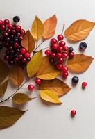 3d illustratie van decoratief herfst bessen en bladeren Aan een Doorzichtig wit papier foto