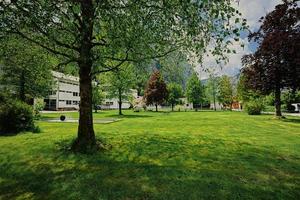 mooi toneel- park over- oostenrijks Alpen weide in hallstatt, salzkammergut, Oostenrijk. foto