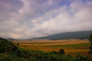 zomer landschapsmening foto