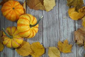 herfst hoek grens van oranje en wit pompoenen. vallen hoek grens met ijzig oranje pompoenen Aan een rustiek wit hout banier achtergrond. overhead visie met kopiëren ruimte. foto