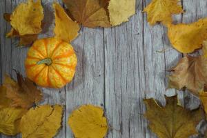 herfst hoek grens van oranje en wit pompoenen. vallen hoek grens met ijzig oranje pompoenen Aan een rustiek wit hout banier achtergrond. overhead visie met kopiëren ruimte. foto