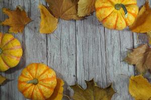 herfst hoek grens van oranje en wit pompoenen. vallen hoek grens met ijzig oranje pompoenen Aan een rustiek wit hout banier achtergrond. overhead visie met kopiëren ruimte. foto