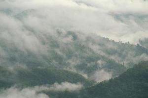 de de nevel Aan groen berg Bij de ochtend. vroeg ochtend- in Thailand bergen. foto