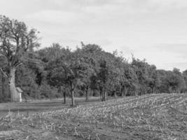 wandelen Bij rivier- in Westfalen foto