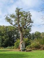 Bij de rivier- berkel in Duitsland foto