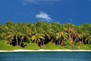 Maldiven tropisch paradijs strand kristal water kokosnoot boom eiland foto