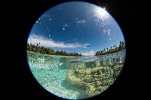 cyclisch visie snorkelen in Frans Polynesië naar beneden onder wereld foto