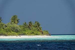 Maldiven tropisch paradijs strand kristal water kokosnoot boom eiland foto