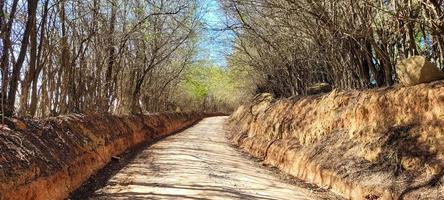 boerderij landschap visie in de platteland van Brazilië foto