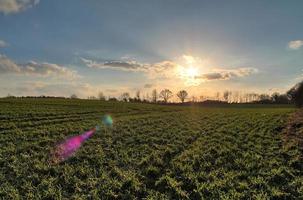 weergave van een agrarisch gebruikt veld met groen gras. foto