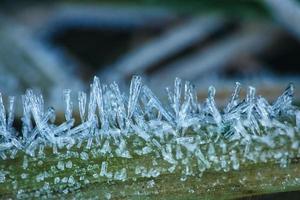 ijs Kristallen Aan een blad van gras in winter. dichtbij omhoog van bevroren water. macro schot foto