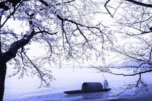 sakura seizoen in kaizu osaki, japan foto