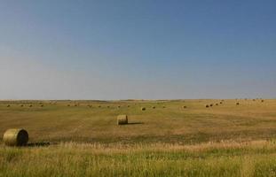 bouwland met broodjes van in balen verpakt hooi aan de overkant de landschap foto