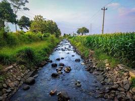 achtergrond landschap van rivieren en rijst- velden foto