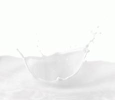 melk kroon plons, spatten in melk zwembad met wit achtergrond foto