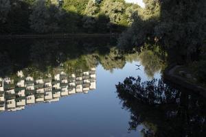 vijver in stad. meer in park. oppervlakte van water. foto