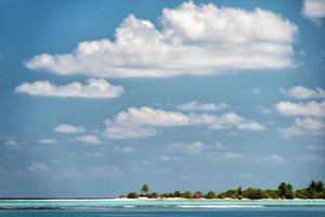 Maldiven tropisch paradijs strand kristal water kokosnoot boom eiland foto