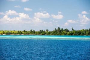 Maldiven tropisch paradijs strand kristal water kokosnoot boom eiland foto