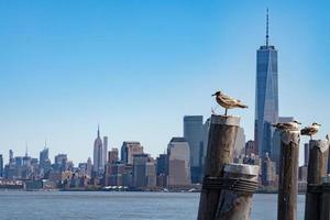 nieuw york Manhattan visie van eiland foto