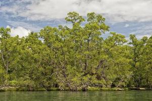 siladen turkoois tropisch paradijs eiland foto