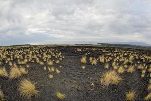 grote eiland Hawaï lava en uitzicht op zee landschap foto