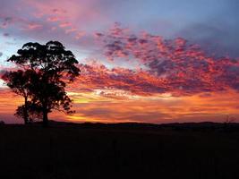 zonsondergang over- een veld- met rood wolken in de lucht foto