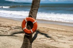 reddingsboei hangende Aan een palm boom met een strand in de achtergrond foto