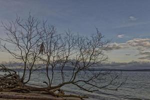 siladen turkoois tropisch paradijs eiland foto