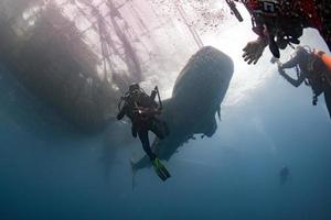 walvis haai onderwater- naderen een scuba duiker foto