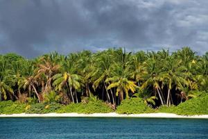 Maldiven tropisch paradijs strand kristal water kokosnoot boom eiland foto