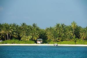 Maldiven tropisch paradijs strand kristal water kokosnoot boom eiland foto